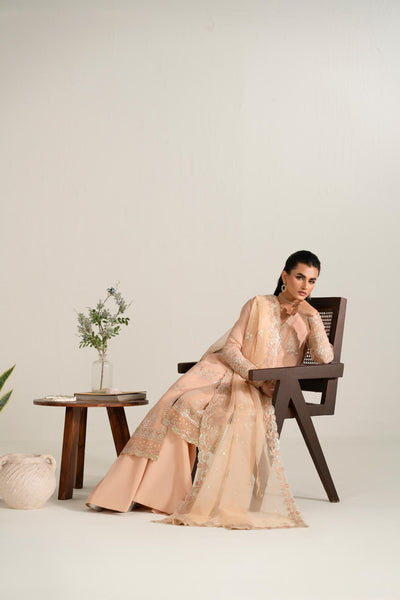 Pakistani designer modest dresses, eastern dresses, bridal and formal outfits shalwar qamiz, lehnga choli, maxi, gown, frock aa